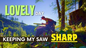 Beauty Day in the Bush | Dodging Stumps with a Sharp Chain