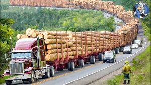 99 Jaw-Dropping Most Dangerous Transport Skills