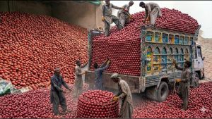 Top Manufacturing Processes That Are Incredibly Satisfying | Factory Production