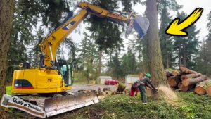 Extreme Tree Cutting Day 2 – Back-Leaning Trees, 53 Ton Jack & Heavy Equipment Power