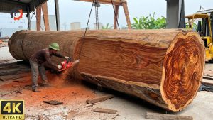 UNBELIEVABLE 2000-Year-Old Giant Timber | Cutting 4 Giant Trees to Create One-of-a-Kind Luxury Table