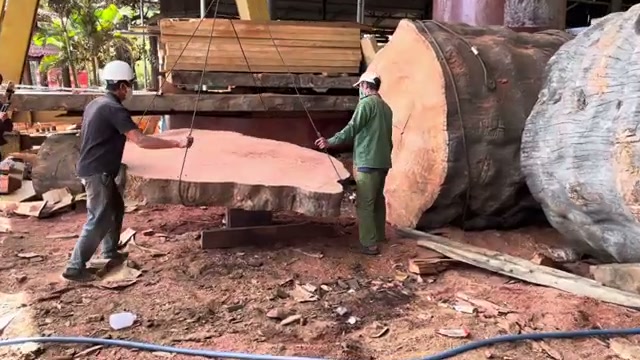 large scale timber processing real video frame 1