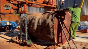 massive trunk grain pattern real video frame 1