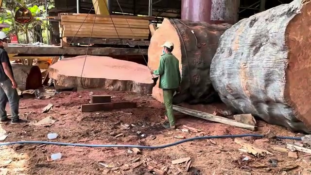 large scale timber processing real video frame 1