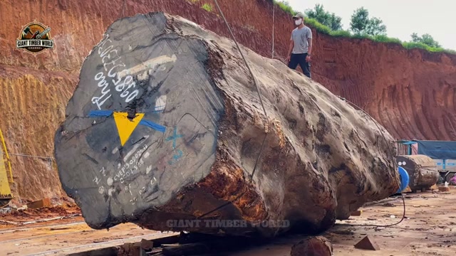 que encontraron trong video khung hình thực 2