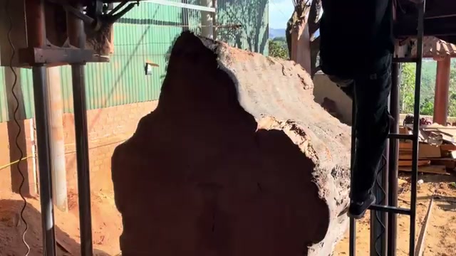 large scale timber processing real video frame 3