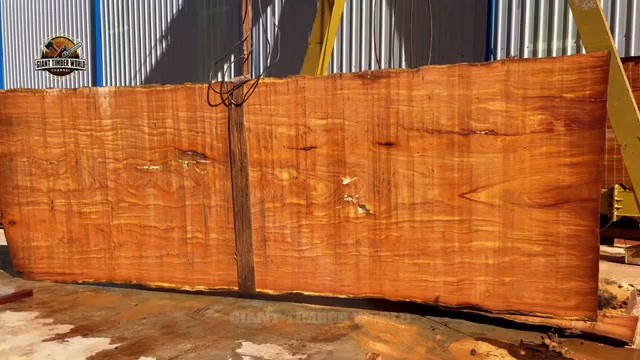 hidden giant trunk grain real video frame 3