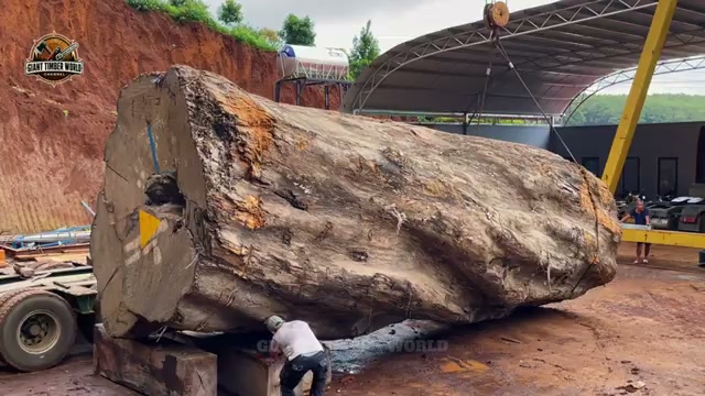 que encontraron trong video khung hình thực 3