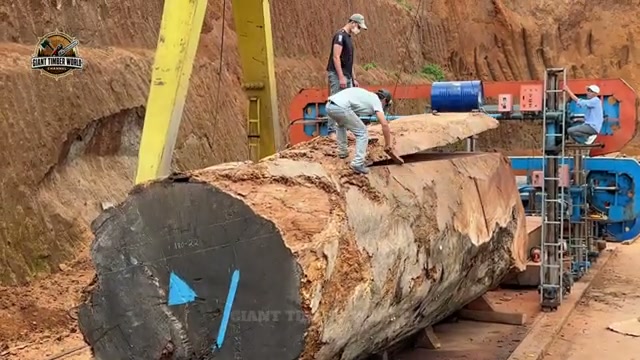 tronco gigante obra maestra real video frame 3
