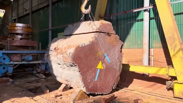 large scale timber processing real video frame 4