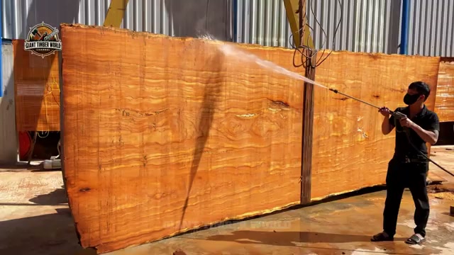 hidden giant trunk grain real video frame 4
