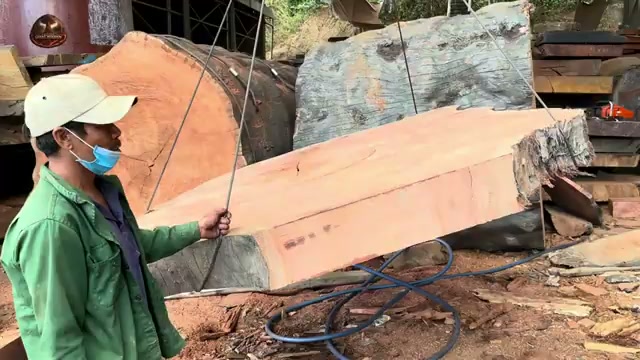 large scale timber processing real video frame 4