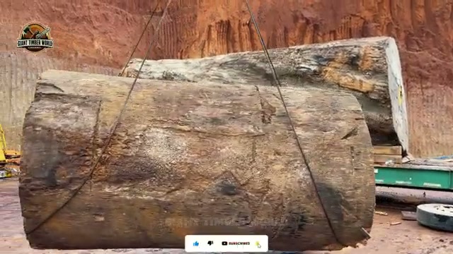 que encontraron trong video khung hình thực 4