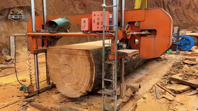 corte extremo bosque transformando real video frame 4