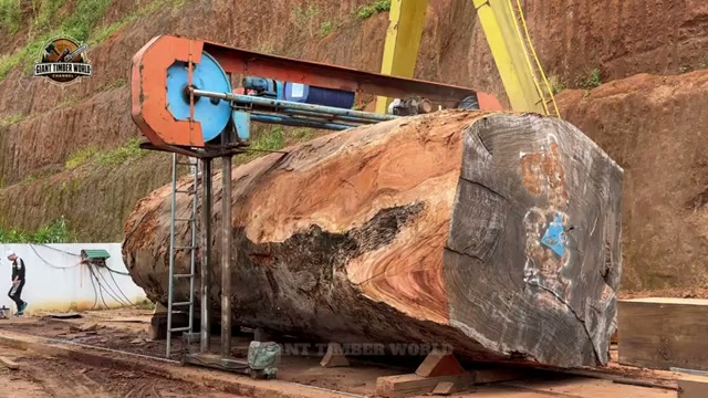 tronco gigante obra maestra real video frame 4