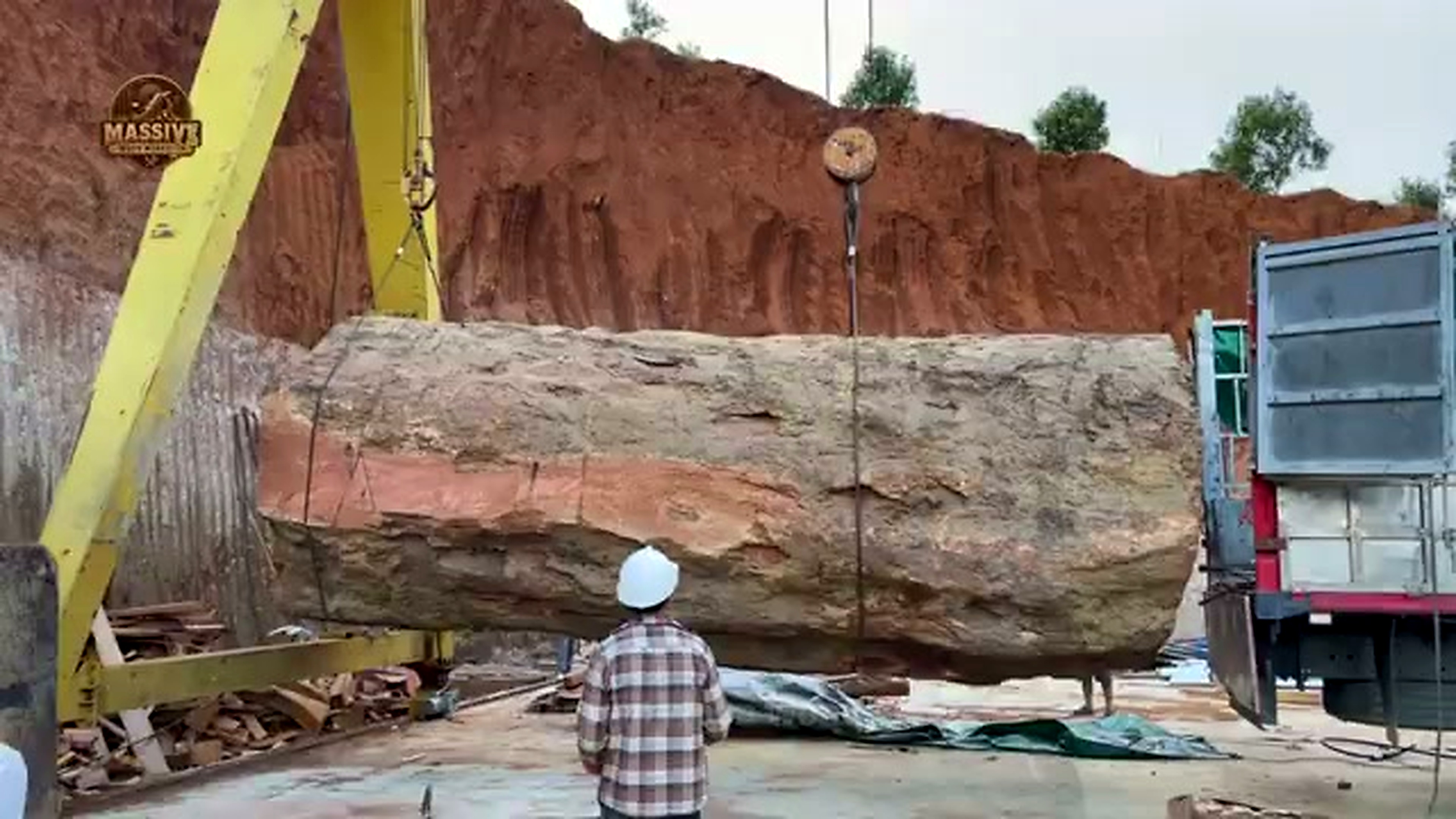 2000 year old tree entered sawmill transport setup frame