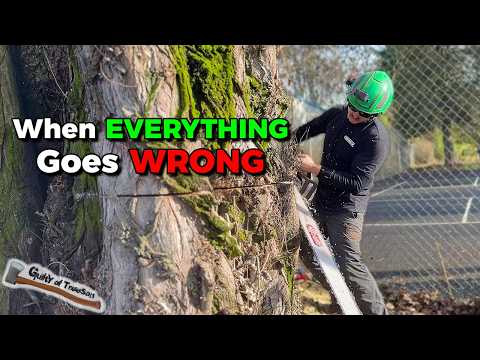chainsaw, arborist, tree work, logging, logger, tree felling, tree topping, wood, wood working, construction