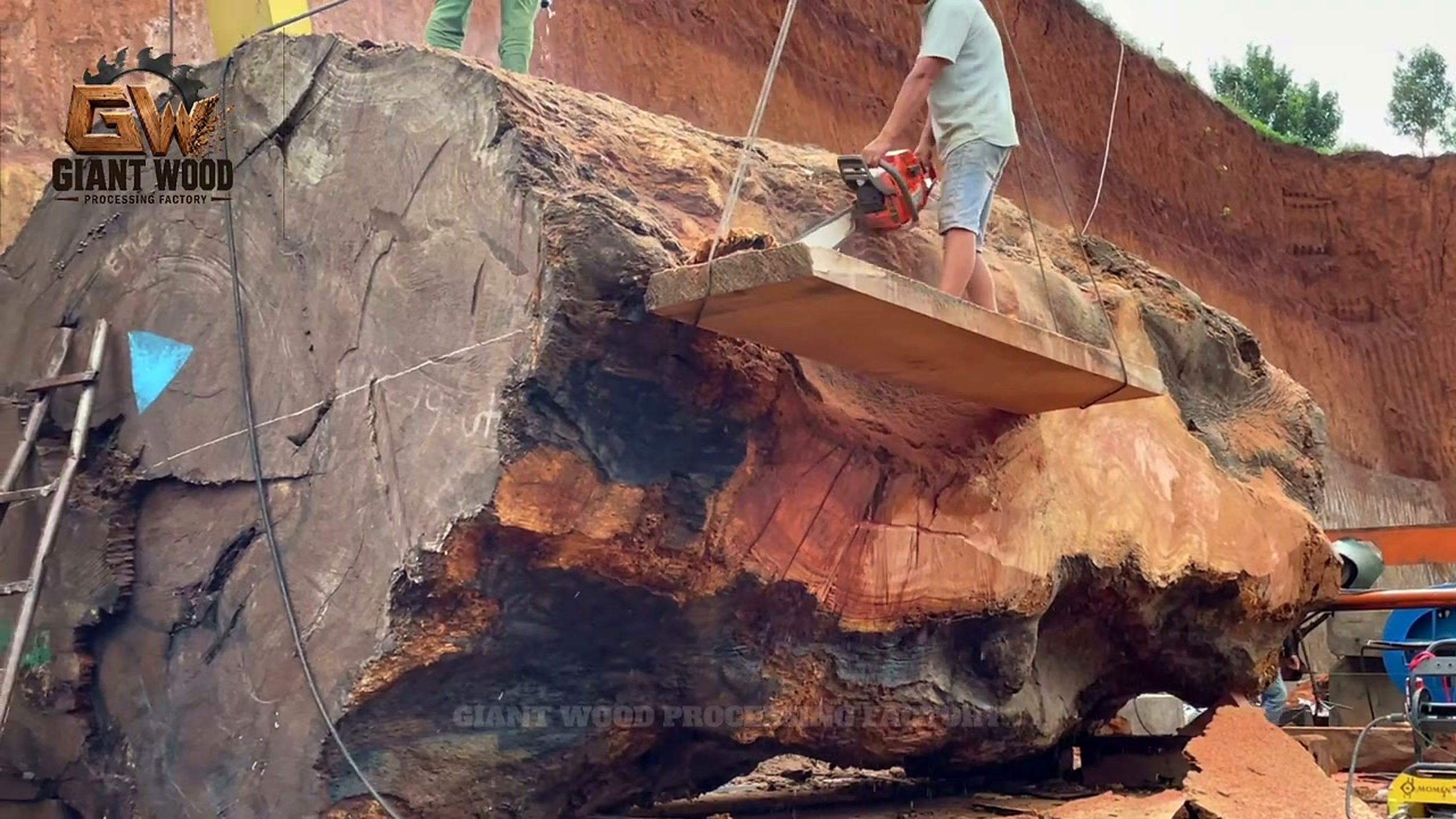 giant log cutting reveals most beautiful - the setup or early workflow visible in the source video