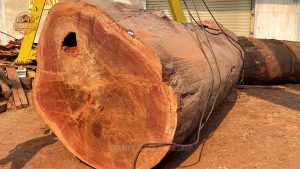 giant timber million dollar table transformation - the source video context before the main process is judged