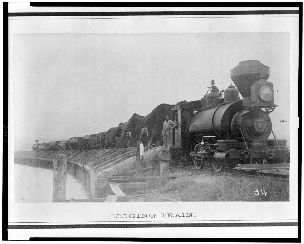 logging before chainsaws historical logging image 4