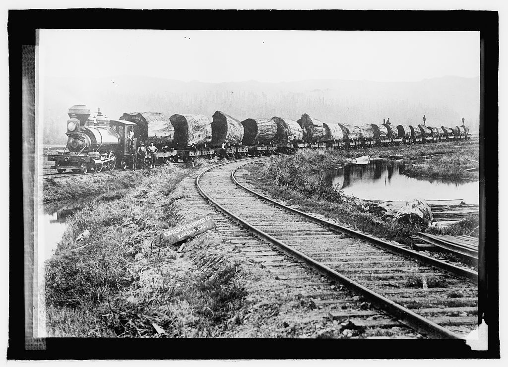 logging before chainsaws historical logging image 3