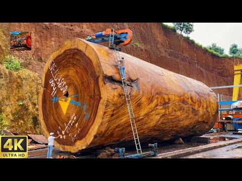 Unbelievable 2000-Year-Old Giant Timber Luxury Table