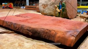 unbelievable 2000 year old giant timber - the source video context before the main process is judged