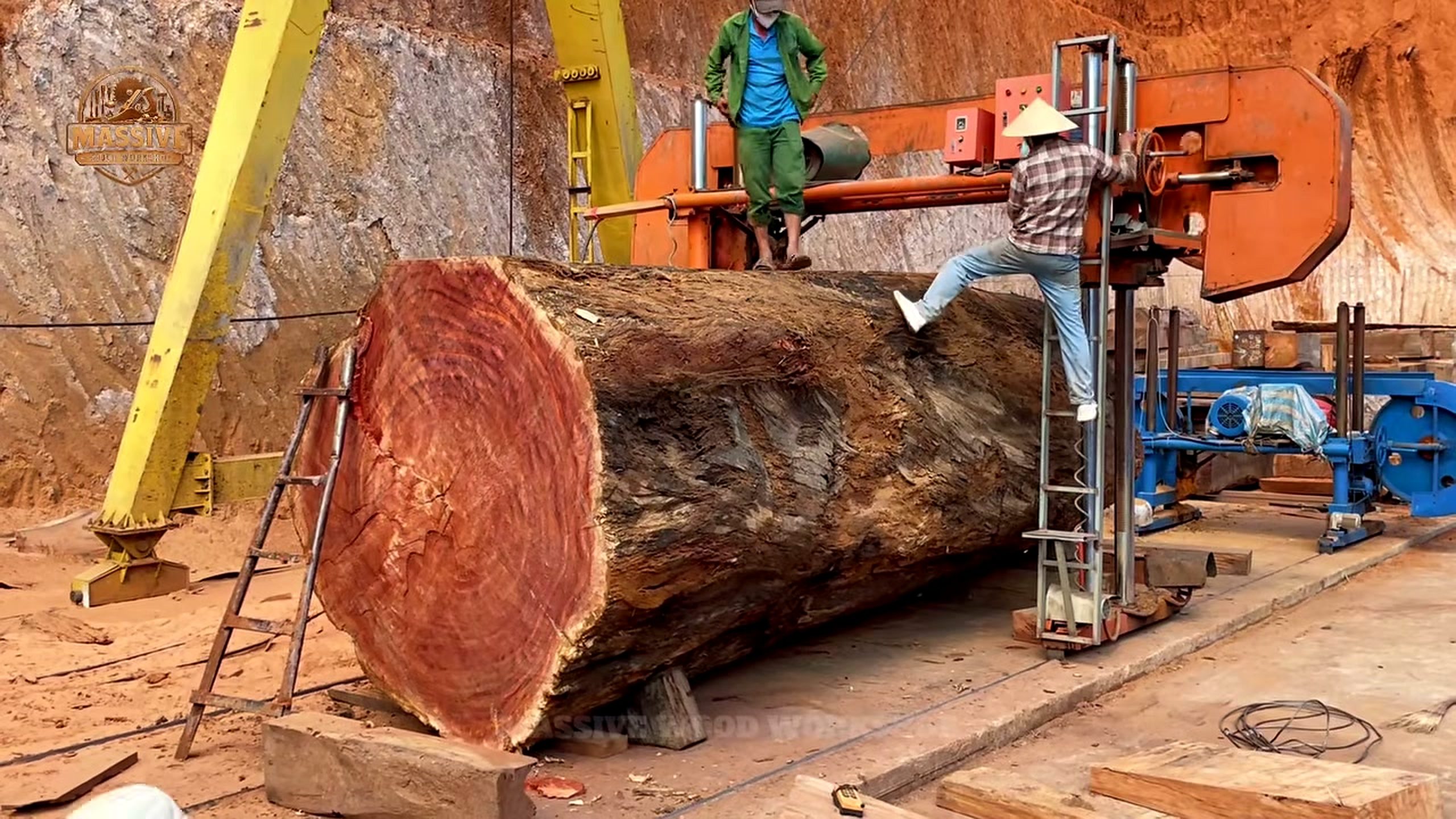 unbelievable they finally cut giant timber - the source video context before the main process is judged