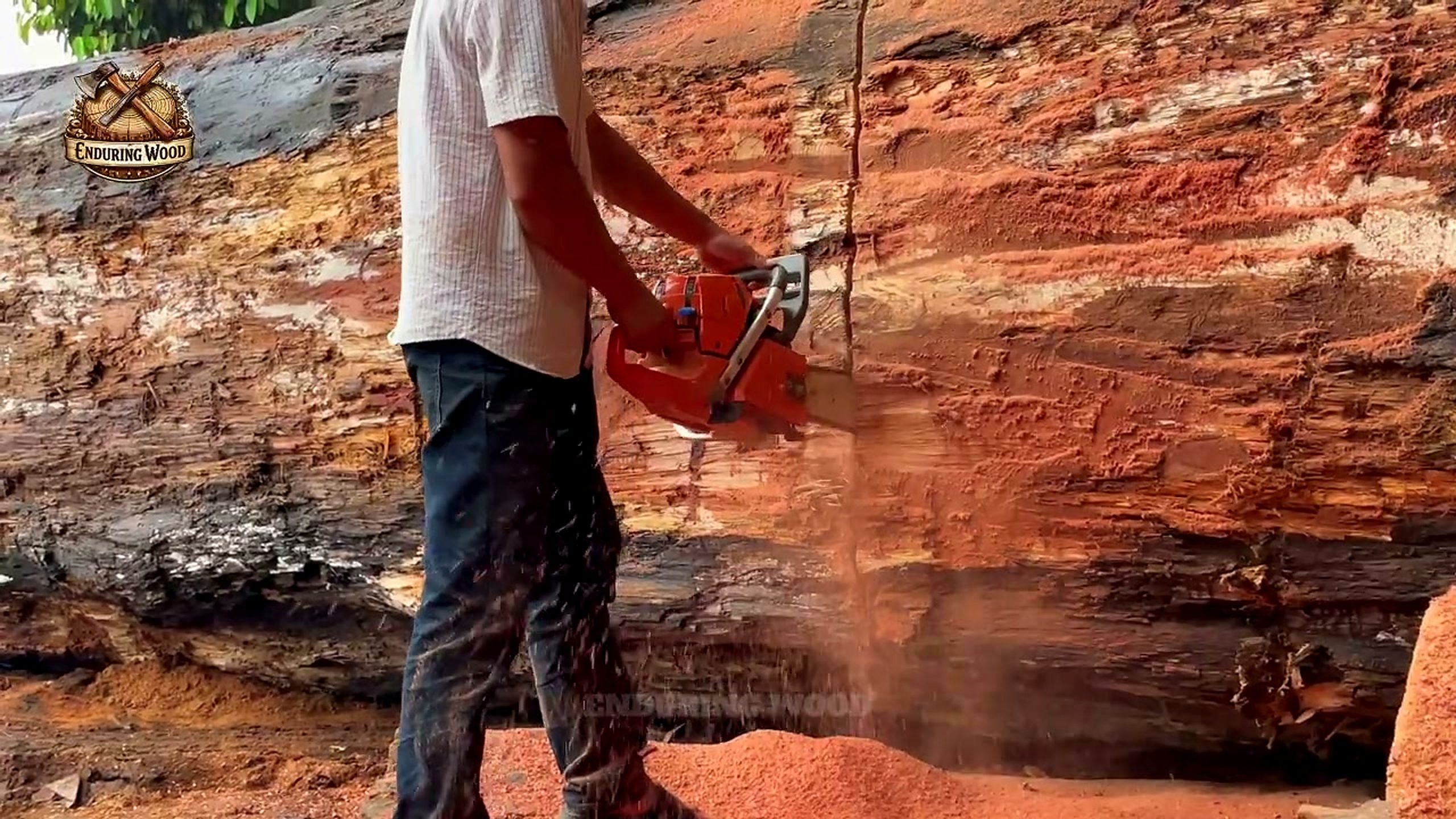 workers thought was just huge log - the setup or early workflow visible in the source video