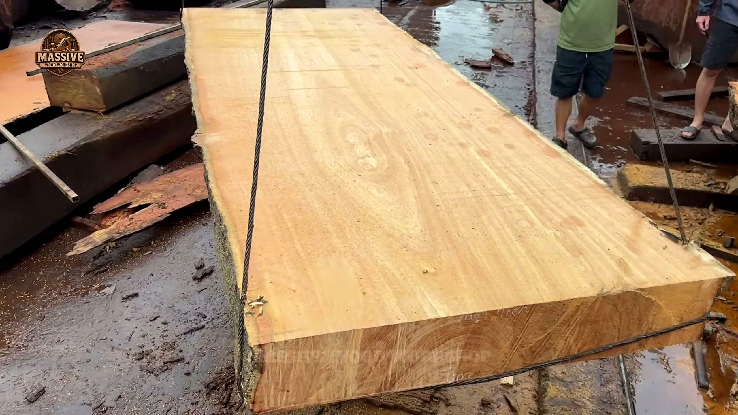 2000 year old tree became one - the main work stage that carries the video's practical lesson