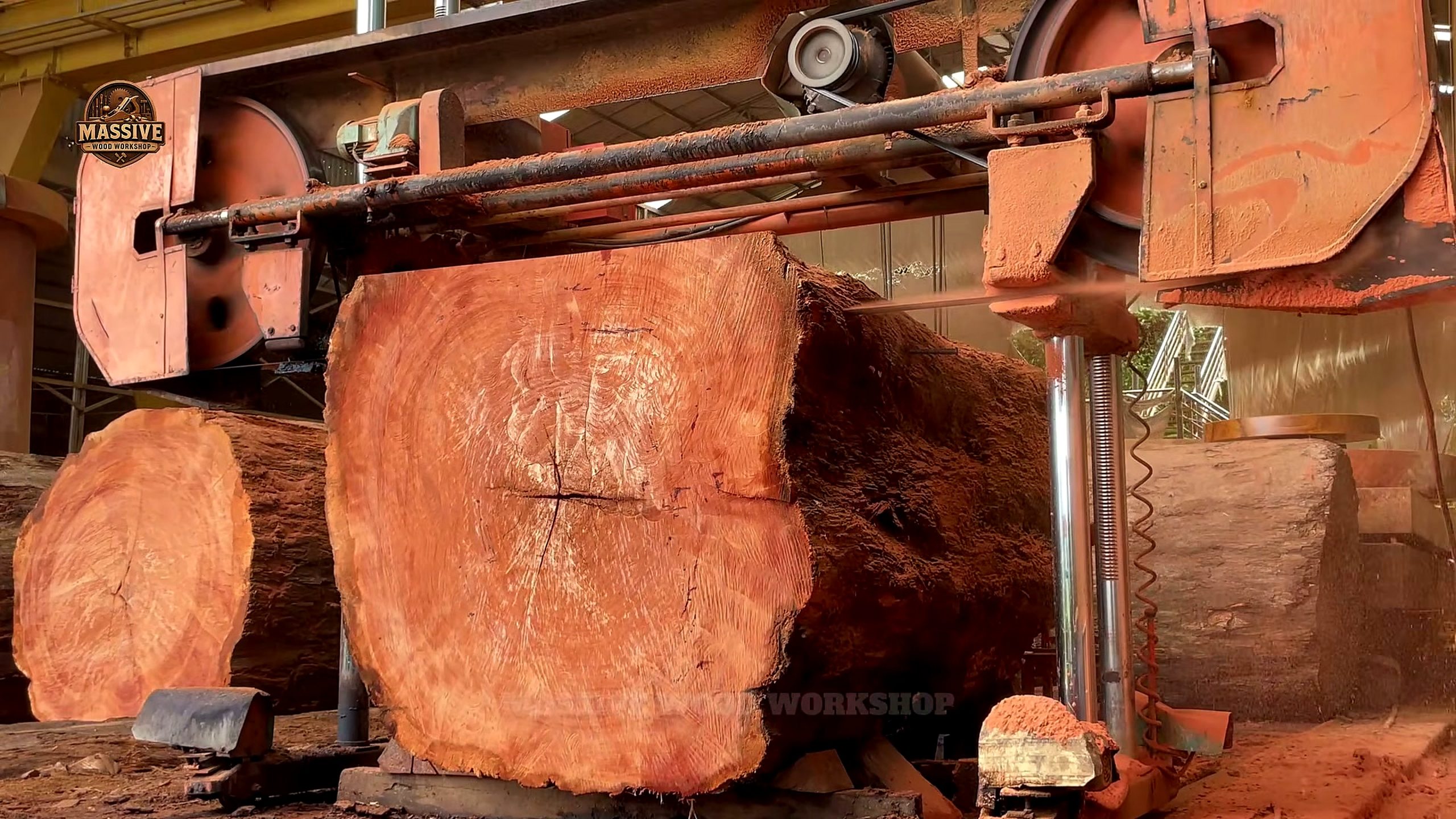 emerged 2000 year old tree stunned - the main work stage that carries the video's practical lesson