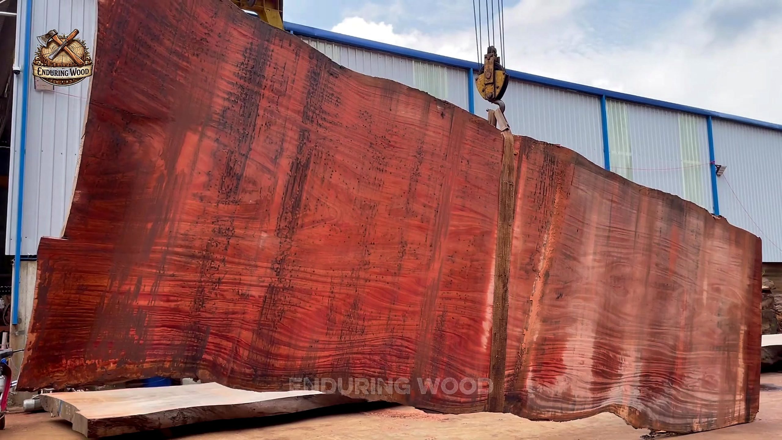 giant timber was hiding more than - a detail-check moment that helps readers inspect the process