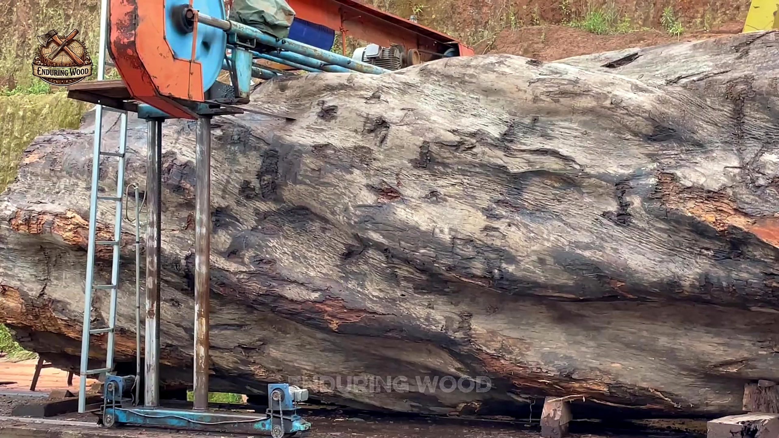 giant timber was hiding more than - the main work stage that carries the video's practical lesson