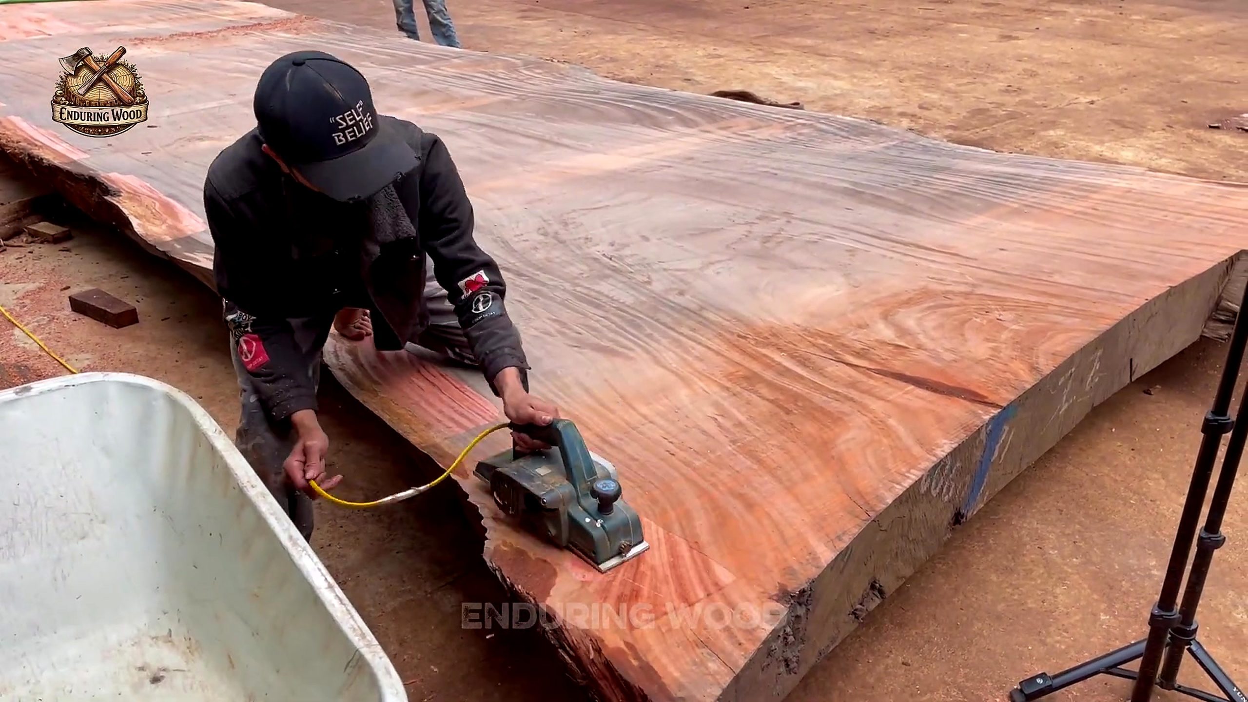 giant timber was hiding more than - the later review stage where the result can be evaluated
