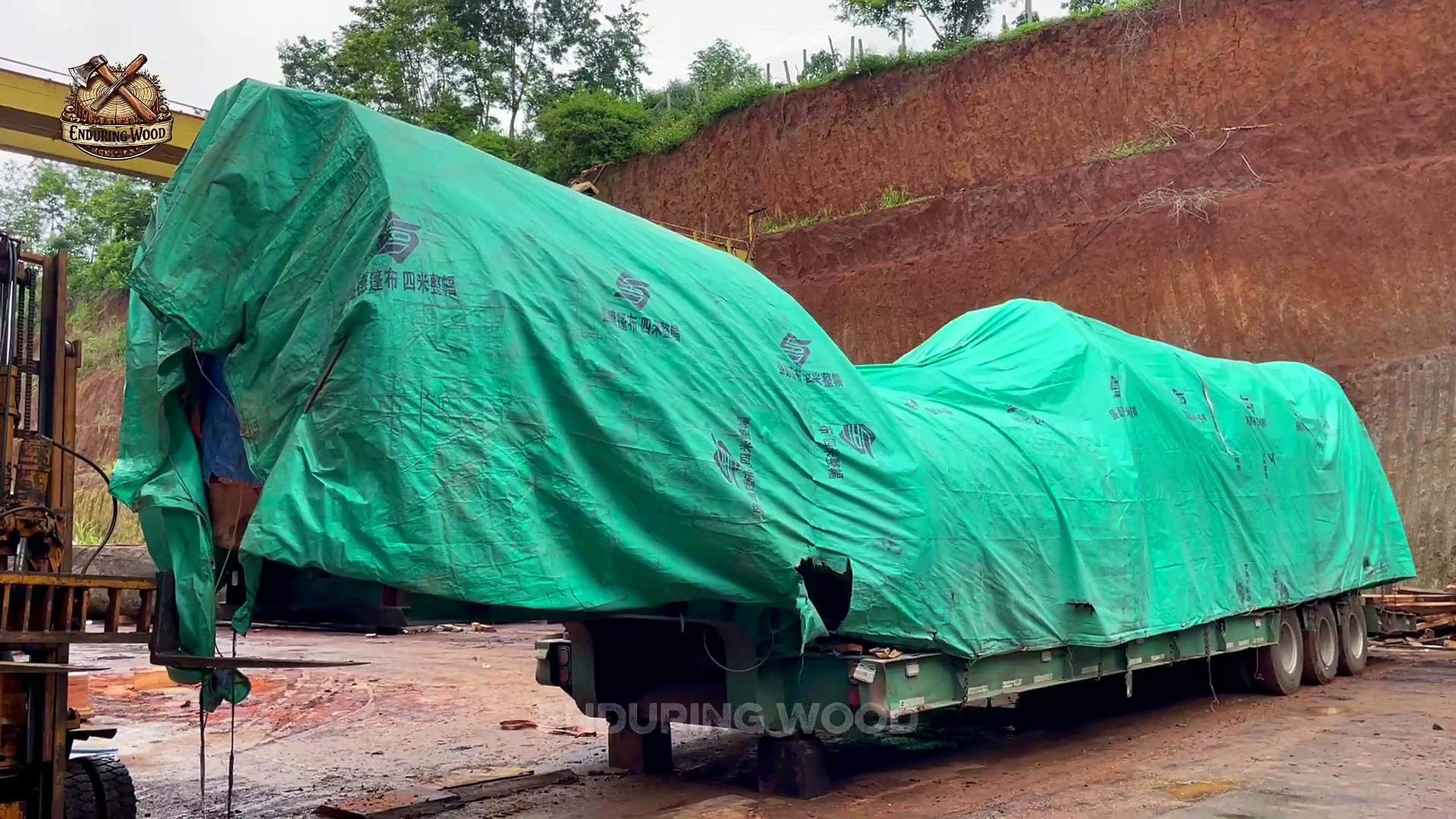 giant timber was hiding more than - the source video context before the main process is judged