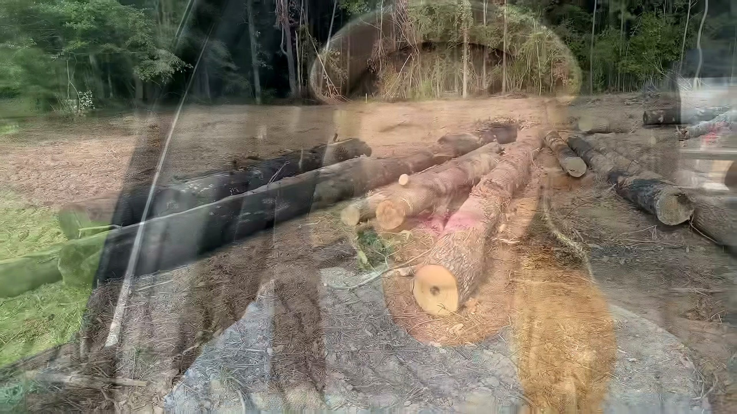got free logs now they building - the main work stage that carries the video's practical lesson