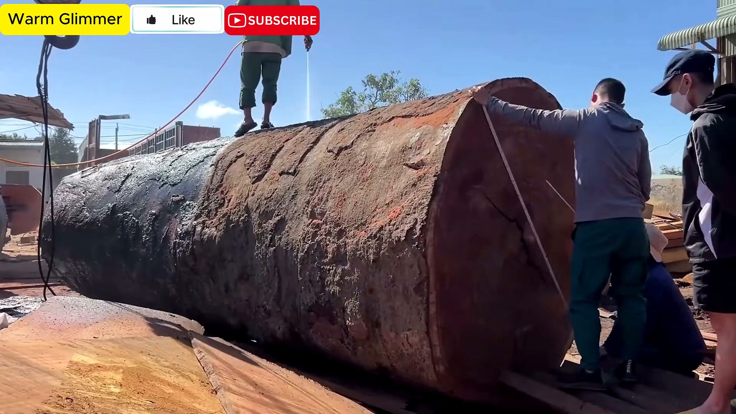 how transform 1000 year old log - opening scale and site context before the first cut