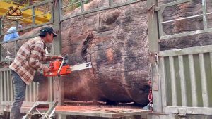 inside extreme wood processing massive logs - the source video context before the main process is judged