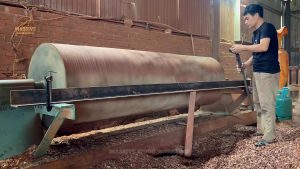massive log transformation art - the massive log before artistic selection begins