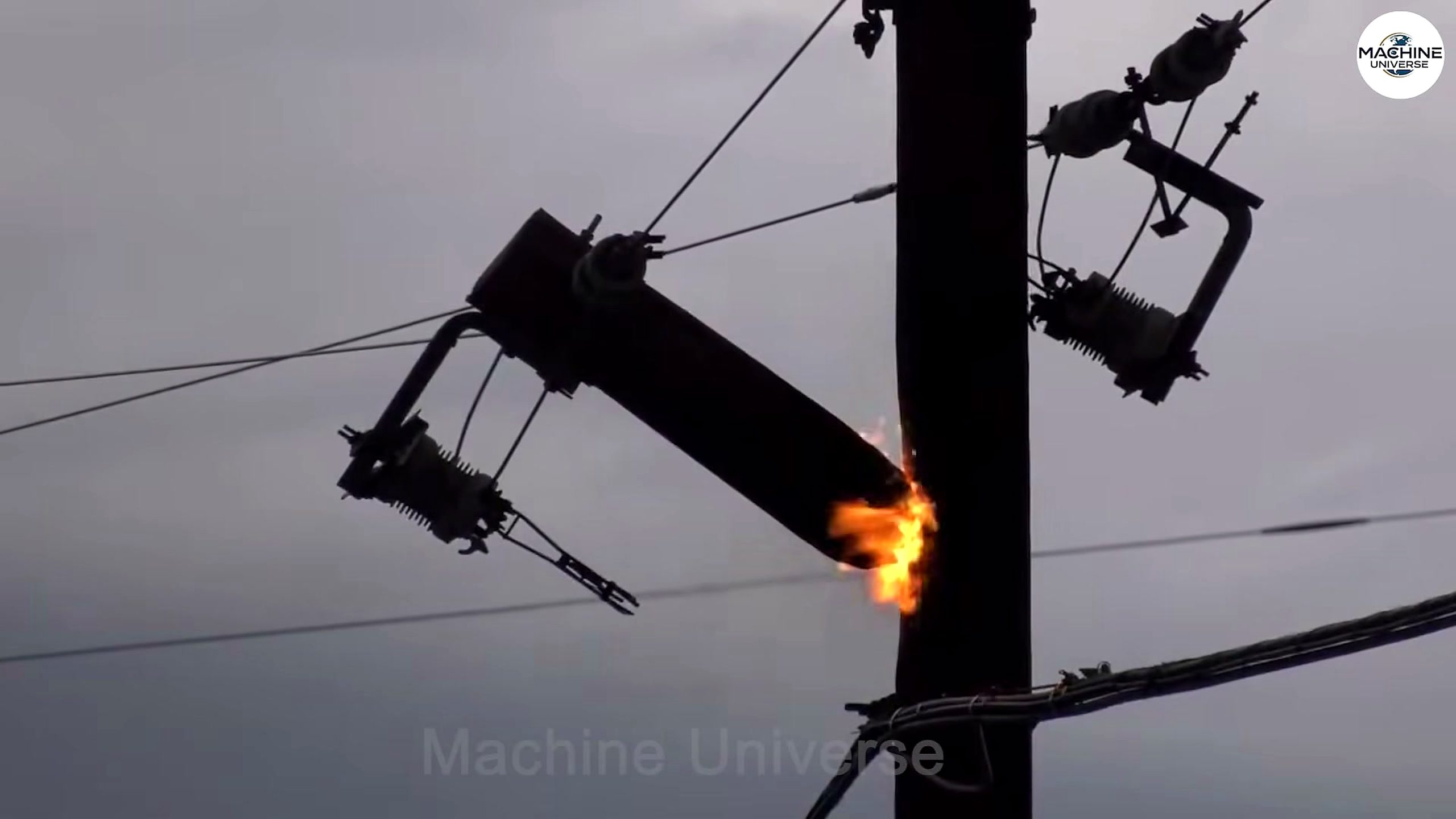 nature machines unbelievable tree destruction caught - the setup or early workflow visible in the source video