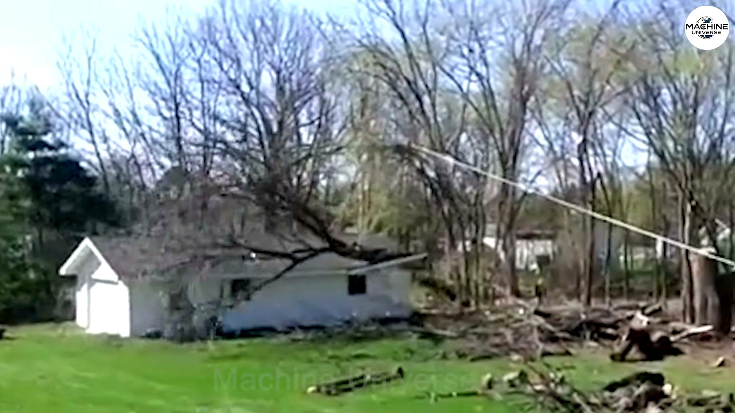 nature machines unbelievable tree destruction caught - the source video context before the main process is judged