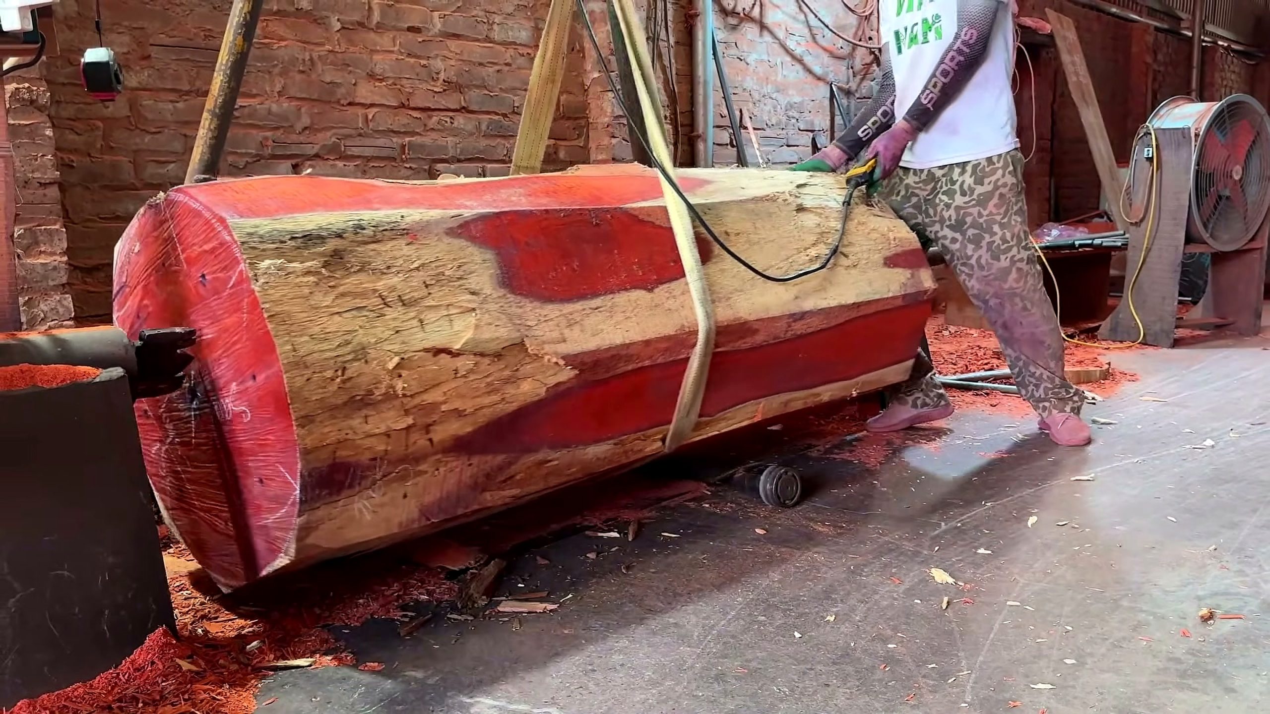 skills processing giant redwood extremely dangerous - the source video context before the main process is judged