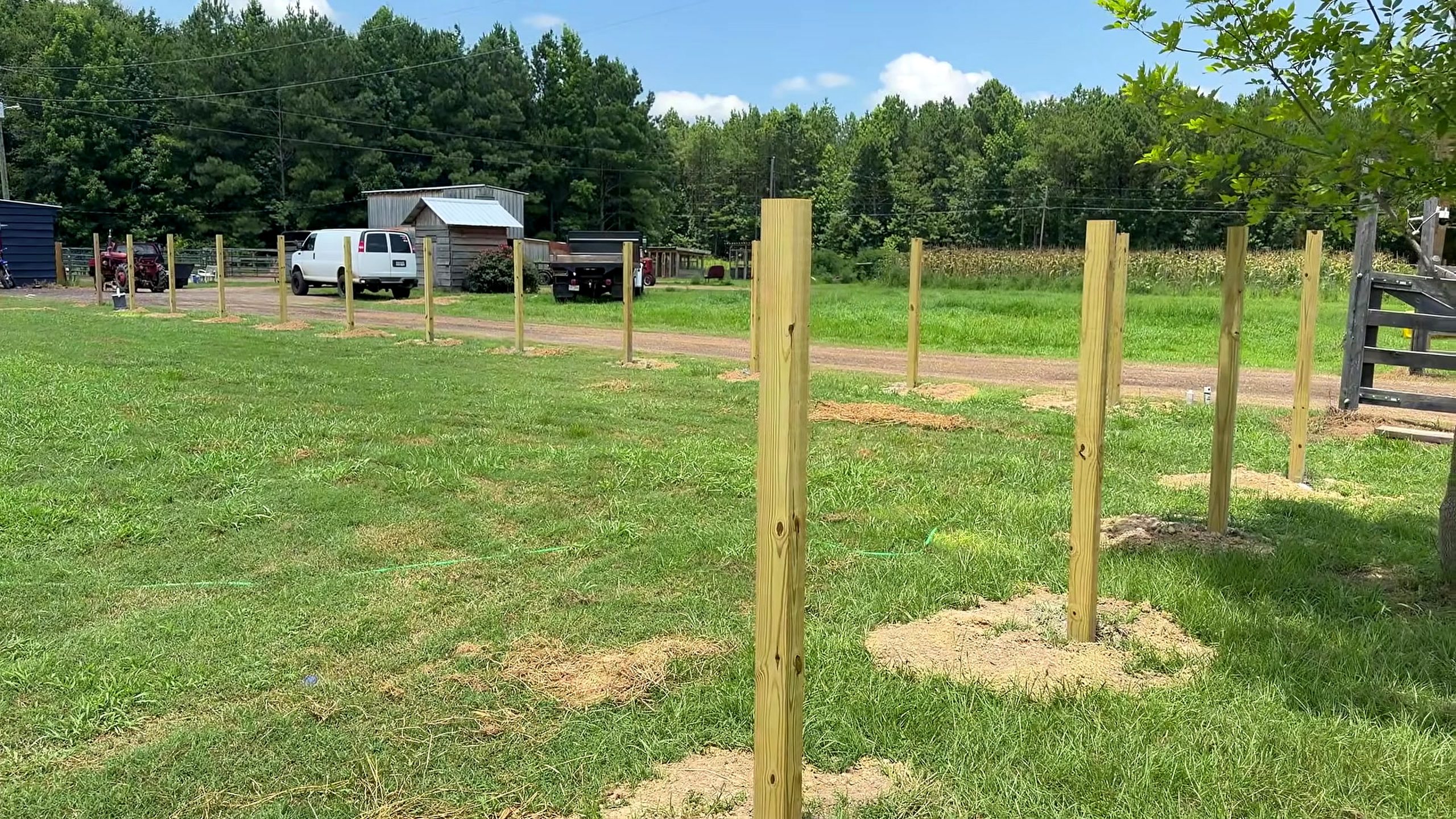 three huge pine logs two orders - the source video context before the main process is judged