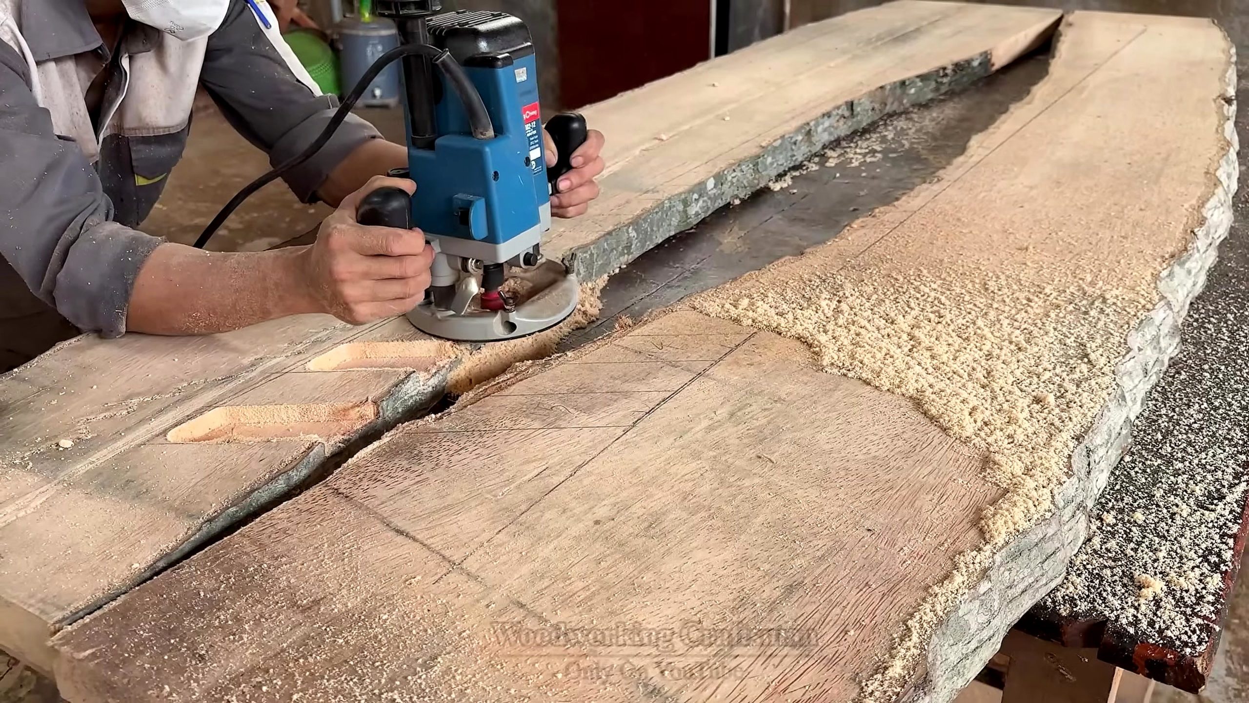 dead coconut palm wood furniture process setup before opening cut