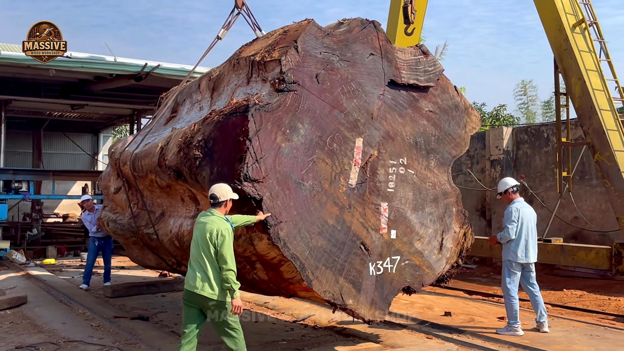 giant hardwood log bandsaw slab cutting crane setup and mill alignment