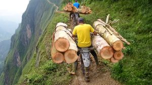 Riding Overloaded Log Bikes On Extreme Mountain Tracks - YouTube original thumbnail