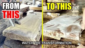 Skill Cutting Giant 1000 Year Old 3 - YouTube original thumbnail