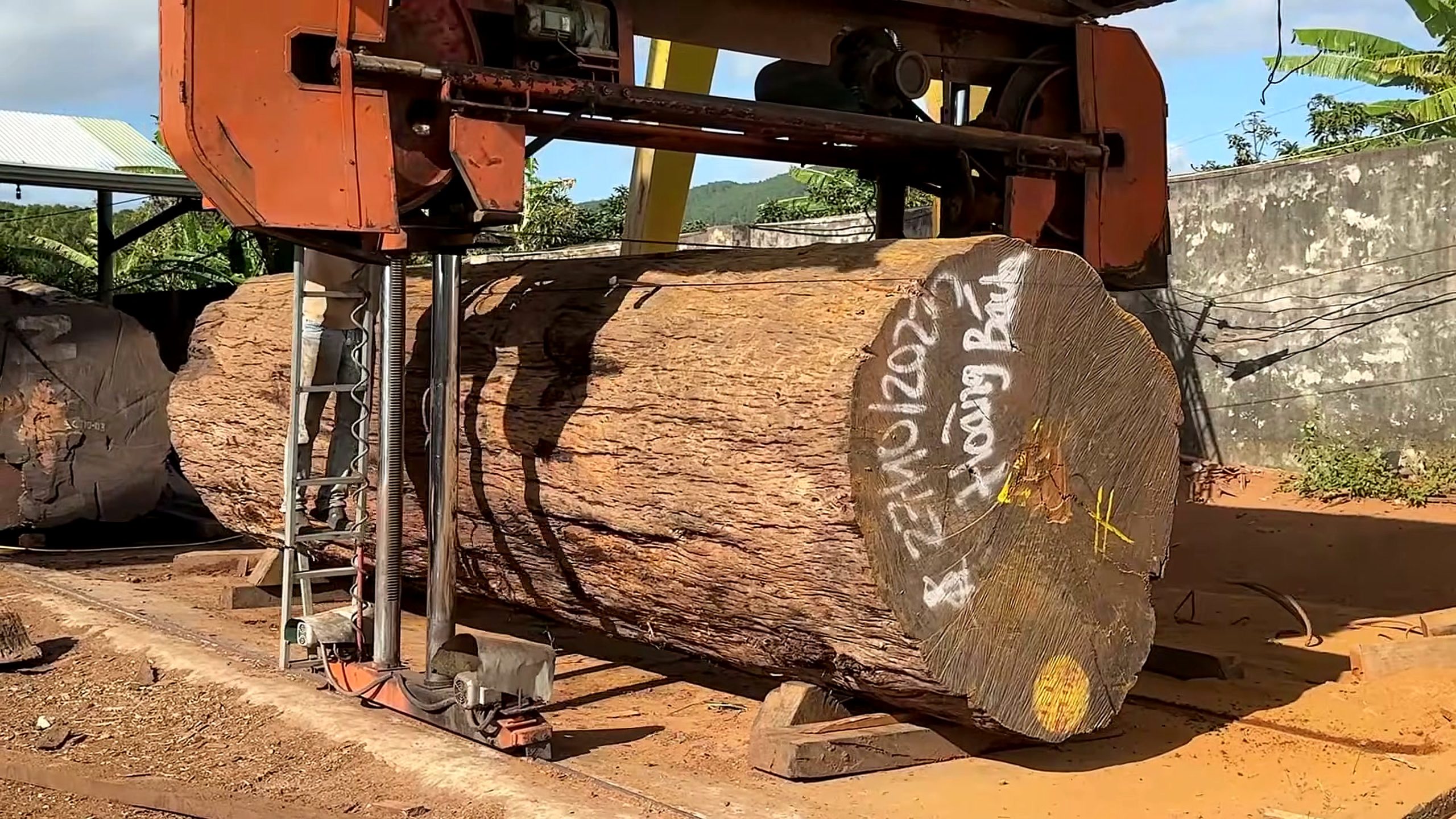 300 year old ironwood log riverbed wood - the setup or early workflow visible in the source video