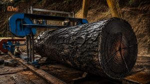Burnt Wood Bandsaw Slab Milling - YouTube original thumbnail