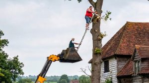 Idiots With Chainsaws Tree Cutting Fails - YouTube original thumbnail